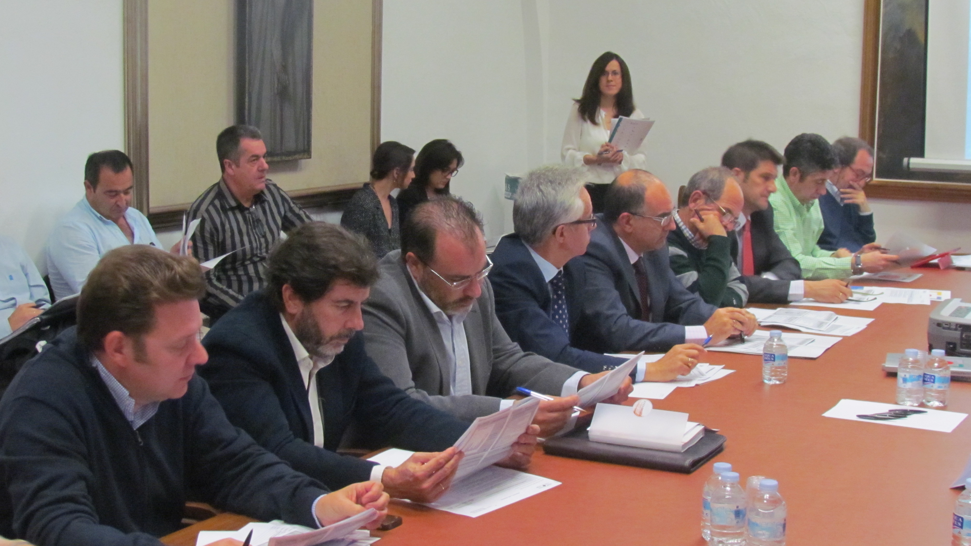 Miembros de la comisión de seguimiento e impulso de la Estrategia 1 durante la reunión