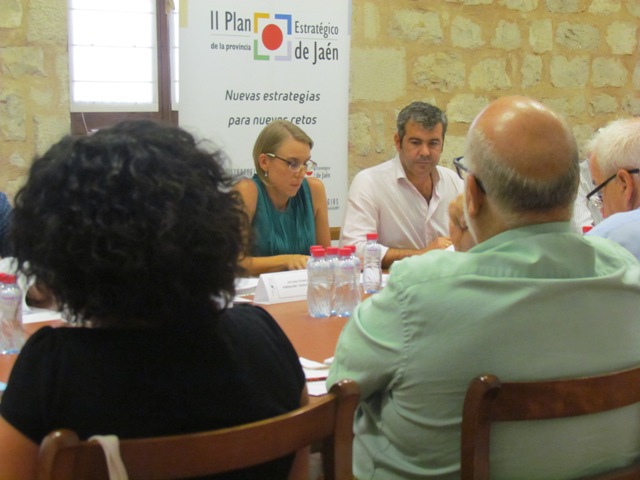 Intervención de Inmaculada Herrador durante la sesión de trabajo